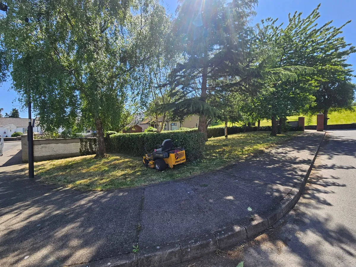 Hero image for Autumn Lawn Care Checklist for County Louth Gardens