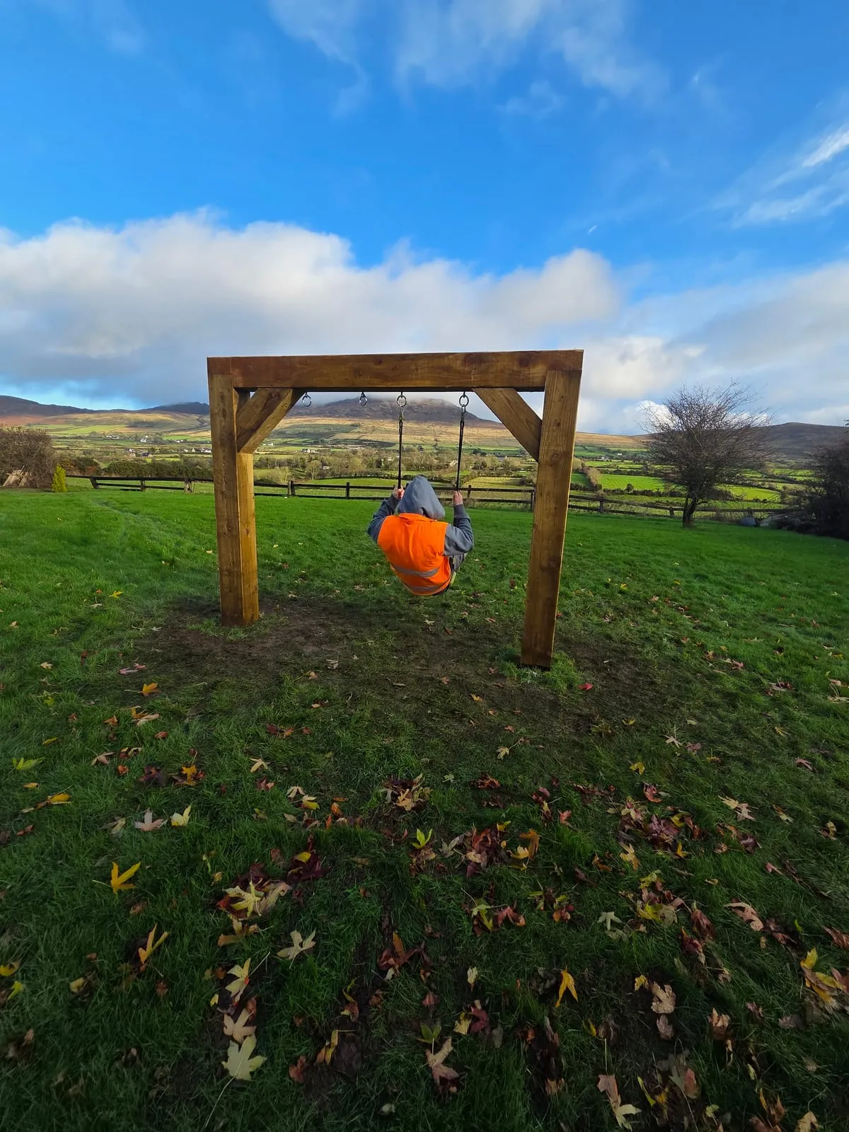 Hero image for A Guide to Landscaping in County Louth
