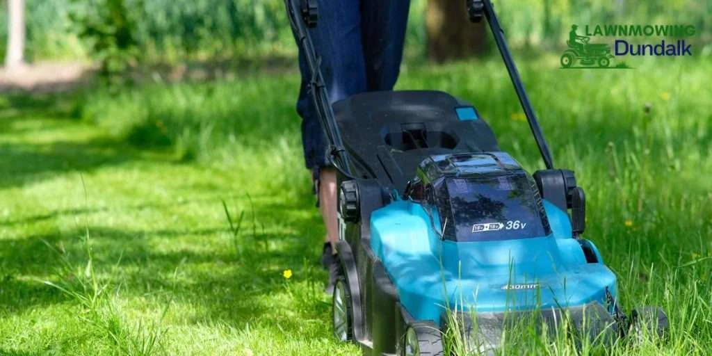 Professional grass cutting lawn care services County Louth