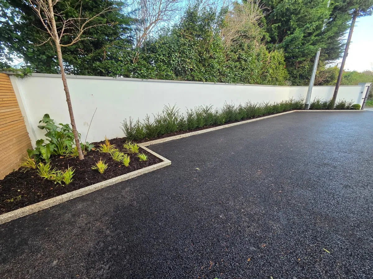 Hero image for How to Have a Colourful Hedge in Ireland: Year-Round Garden Beauty