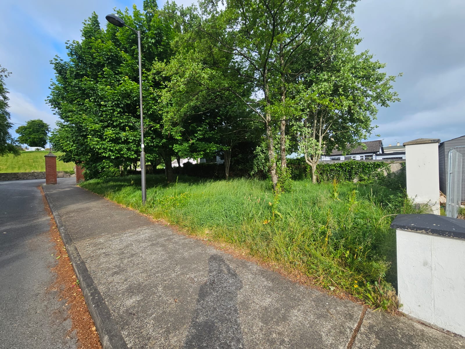 Neatly maintained roadside after professional service