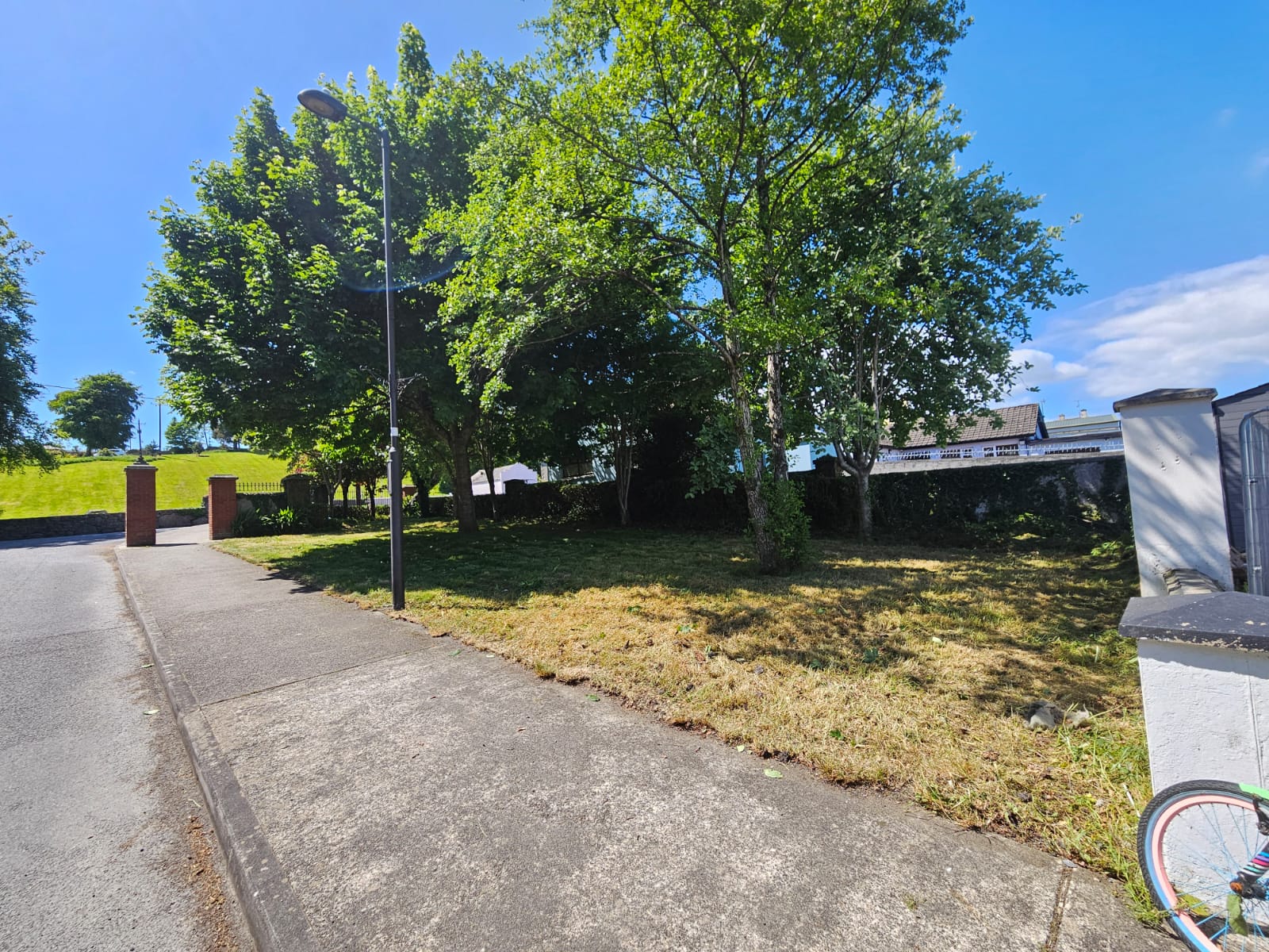 Overgrown roadside grass before maintenance