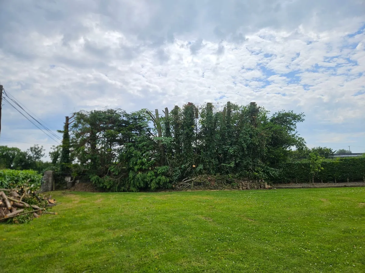Hero image for When to Cut Lawns Ireland: Complete Seasonal Mowing Guide 2025